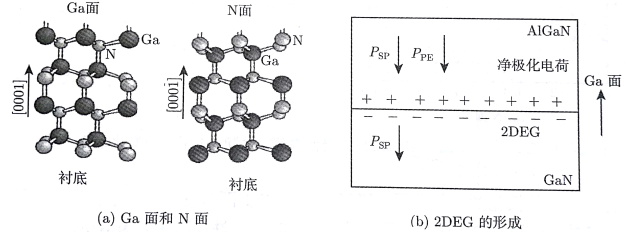 GaN晶体生长方向(Ga面和N面)结构示意图和极化效应