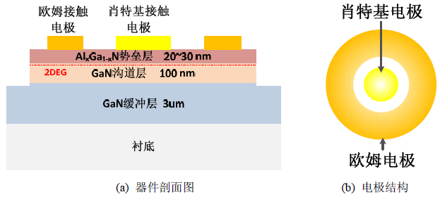 AlGaN/GaN SBD结构示意图