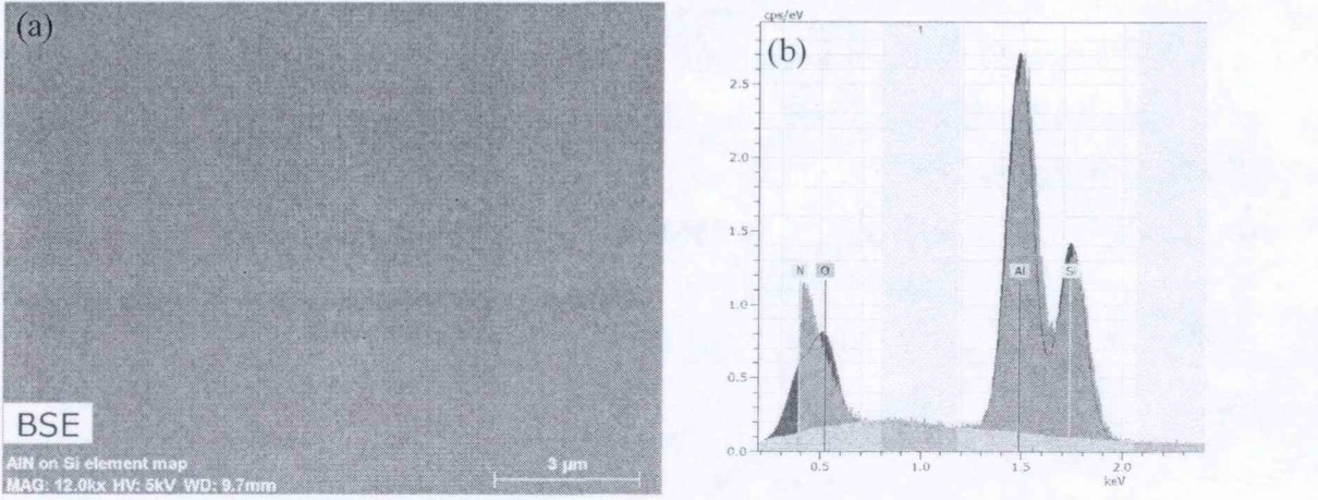 100nm- AIN/Si薄膜的(a)SEM背散射图像和(b)能谱分析